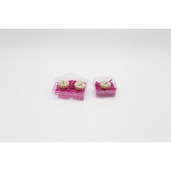 ΦΥΤΙΛΑΚΙΑ ΚΟΚΚΙΝΑ ΜΕΓΑΛΟ ΚΟΥΤΙ