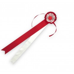 ΚΟΡΔΕΛΑ ΑΝΑΣΤΑΣΕΩΣ